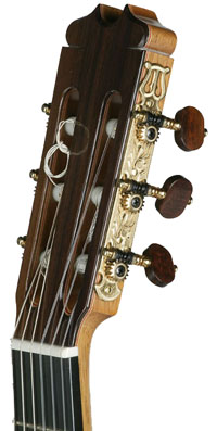 af25-g-2.jpg